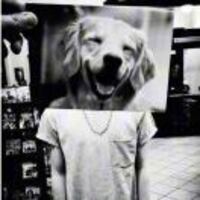 4385ff4ee4226a6102cb6e3cb2ad9aeb2512b6cd