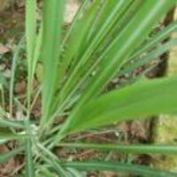 0d3ce164cc71dfb0b37311c597137289a30c8628