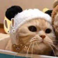 617a0dcc37b154570dfa95d0e7cb20ff8bb5e11e