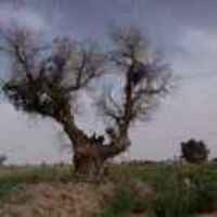 227ede6a291216053caeefe0701858f9da4236a6