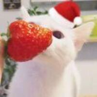 Eb3a87cc6c2e1a0ede739b886ab68af0092c758c