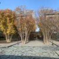 C1b9ab8fada6f93707f69fb823a737d8ea8b0836