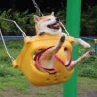 9c267ee1a90d1250913c5c6c7771b330388fdeb2