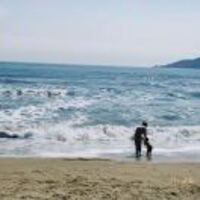 1cfb0a6a83e59c5fb4bfefcbee6cbab6fe7e63ea