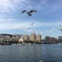 558dc4d591d0a9b705b2781fe61a93a932b5c056