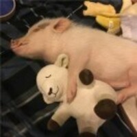 087ae44ea124e367d18c2a9c8629bfe92867cbba