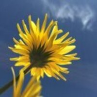 Ff36d88e7aaf83433c9ee66991f38d930a33d5ae