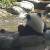 C44d6807a6bd9e598684aa349fc25005bf3c150a