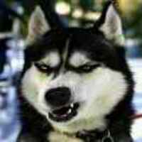 Fc0e2952699c073180c6190e4f2a8e2e0862f354