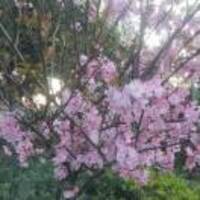 036545d84f1d3b66bcff847dfeb13ee672f65dc0