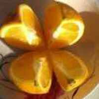 D6ec65c5dc87543c10f456b6843109458273aaeb