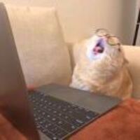 480d9e3931605a2dbb93ebc0a494936645f61309