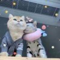 30e1e99e4765ca25c76f2933ca2953bc8e6f5b71