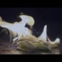 62d5ba2f18e35517b370892fb4137cd4bf947ac1