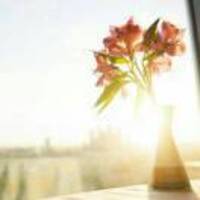 47360a72b1d30eee706b20bf405087dbaccba0f3