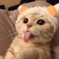 Cb770fa91fb29826177d348429c94ca6efaf8a62