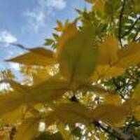 F0d4fec90ff39e4fe9842d245fb5d8e77b595728