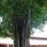 Bd644f471805637f1fbe11ddb9c3c07eba535511