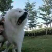 B9edacce6230309559660df4d7a8d3abef26c65d