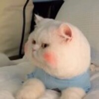 4132f4643723115dda671d21621ad97b0ce9c0a7