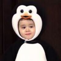 A8084443fd74e95598ccc2e6b953e3d79c734b9f