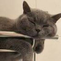 87254775920bf771bc5c0d9005b7c451c46b21b4