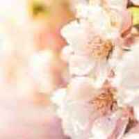 Fa04c5ec3d803d8cb1c03a72873da4ded9a16ecf