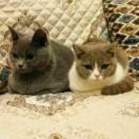 9726df7b6e34572cf706f67e71bcefafea102a72