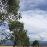 E376810c03989fcebc265ceabed9fffafb63c999