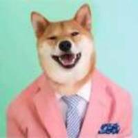 B5a289ab28736a7d316cf197b94315dc2bdb7d50