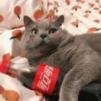 325b9444d54737b18aa7366f768b7eabd502a115