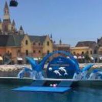 09d1cf84fac5c8d7b4dd34a4a96ccb9599d3e196