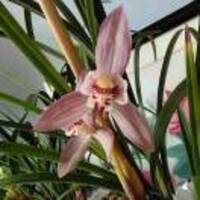 B76fba664e71fc8fe5b0f3a62e19ff3f0c618939