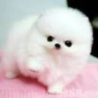 Bd2569002730192848928111a44d6c2183ad6586