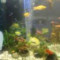 25e0852c01e5da12e3f0f46bbc7b3031c98673b0