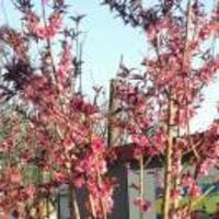 Ff4a2622a91730abe8fc24f29fb31c85adfe7d82