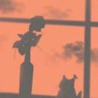 93030eb51912cf0d718be243b70a355dd5abfac8