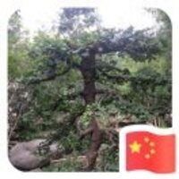 8c9902d440445f19c337343fc01cf019126421e0