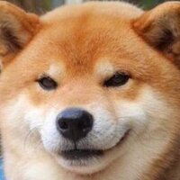 256bcfea99c4858b16ccb60b3ff5cb7a5daada55