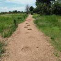 7d0dd8c325bfdc5676c72f8172f599ccba8c3159