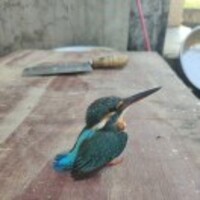 3612f2804ae5c9ddc53a1b55185353802bf5c8c1