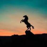 17c3d5cfdd2d21b78244e56acd9c2ad33e7ae59e