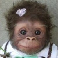 959ee4c185478db93481532b0e1a852079878276