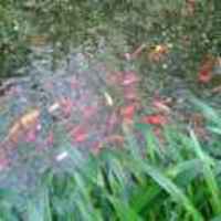 3d5c17d6f723812104c2c83db00315736b0ce619