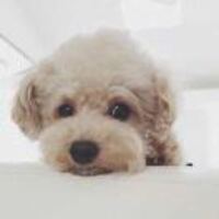 76e505a4a851ea4f5f1edb453a467419d611a679