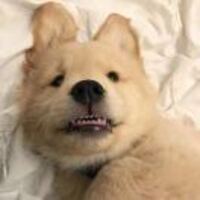 839bcbe94fc4041312c3a46d358a77f9dc963f98