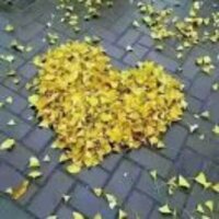 7b75c5125530e99ec2c1423e8cf7a61557fa5e3e