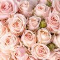 37ad4b389aab99971164b4f06ddcc569b6a0e5dc