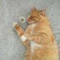 C7f39b9c00413067040f4d769c4af43d51213082