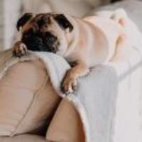 7514c2727e9f59def29e5efbe7a4e0ac69eafd68